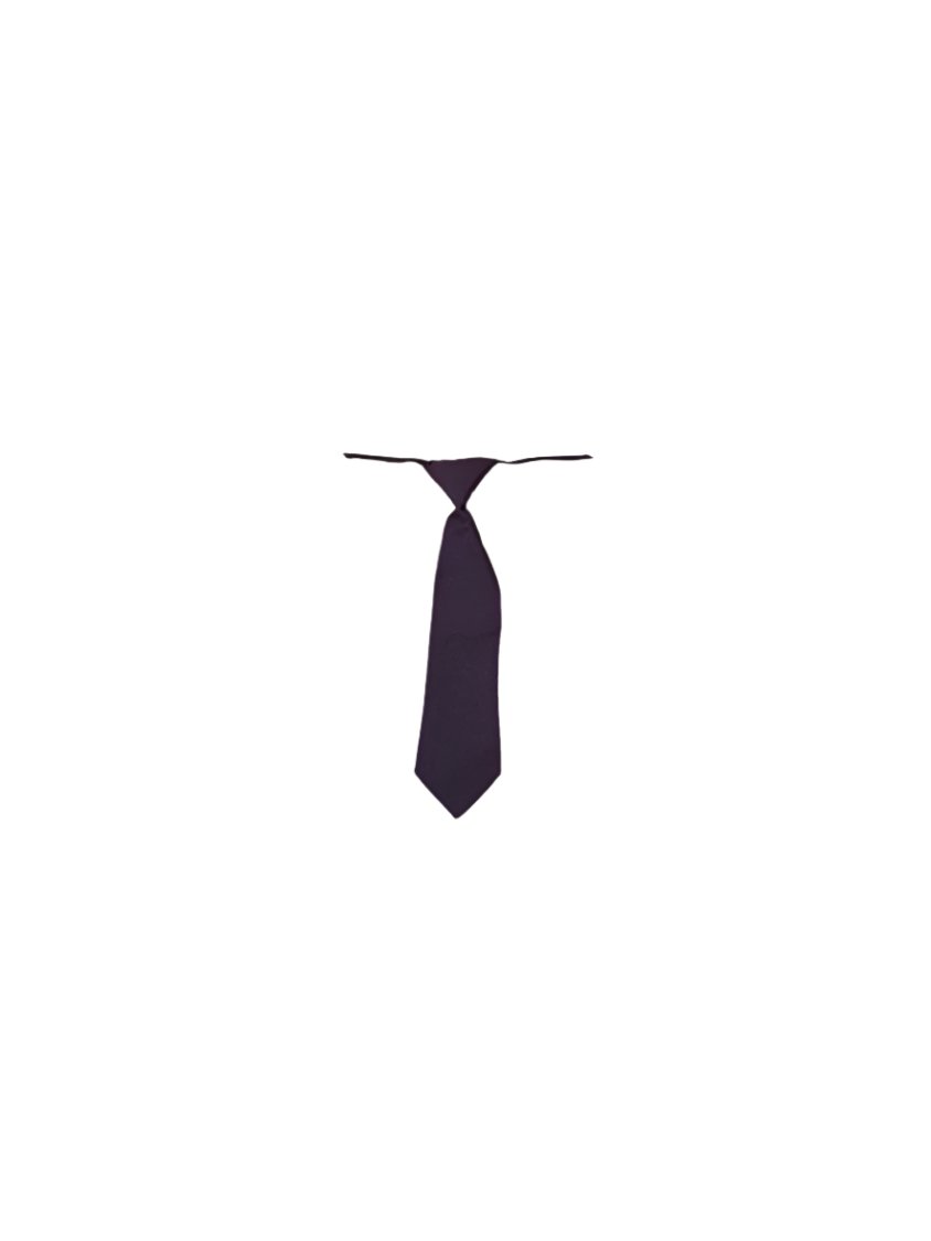 AIS SECONDARY TIE (Girl)