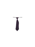 AIS SECONDARY TIE (Girl)