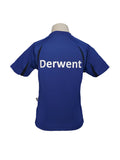 AIS DERWENT HOUSE T-SHIRT <br> ( BLUE )