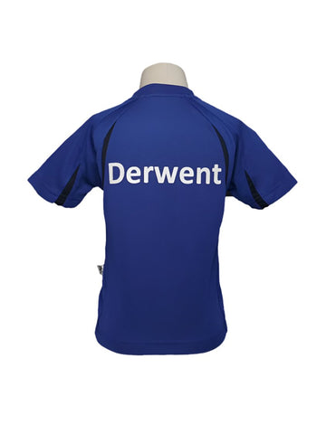 AIS DERWENT HOUSE T-SHIRT <br> ( BLUE )