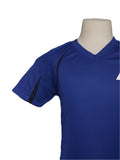 AIS DERWENT HOUSE T-SHIRT <br> ( BLUE )