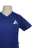 AIS DERWENT HOUSE T-SHIRT <br> ( BLUE )