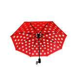 Foldable Umbrella