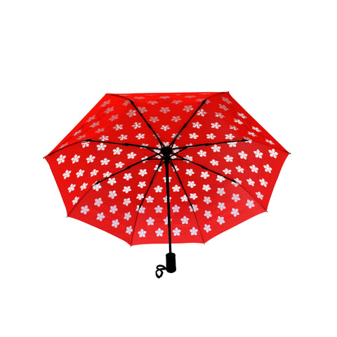 Foldable Umbrella