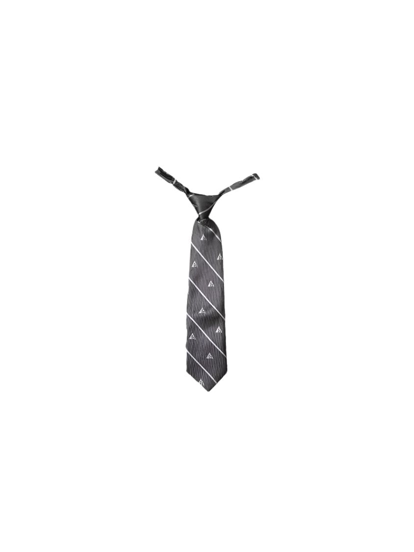 AIS Year 12 Tie (Girl)