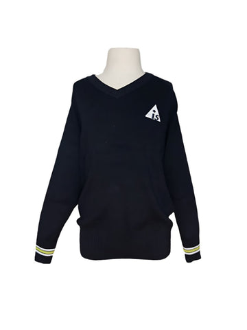 AIS Jumper ( Optional )