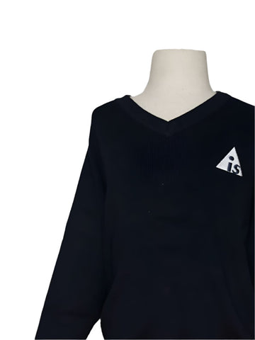 AIS Jumper ( Optional )