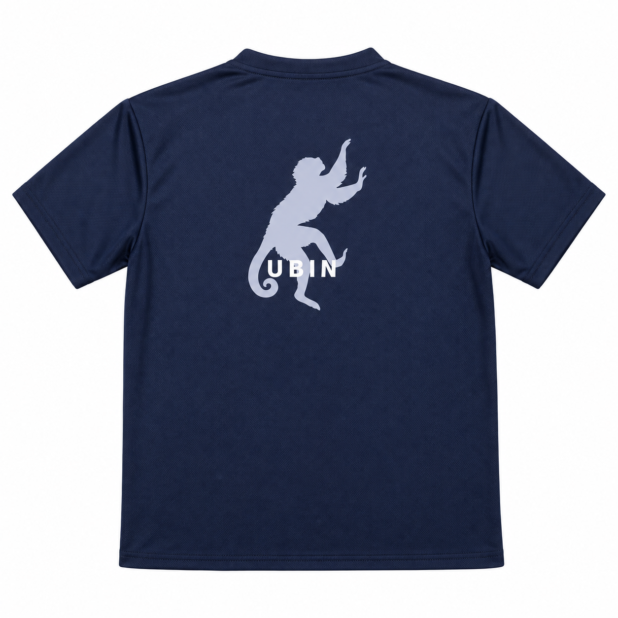 DCIS UBIN HOUSE T-SHIRT <br> ( BLUE )