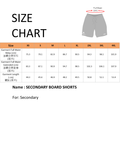DCIS SECONDARY BOARD SHORTS