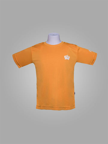 DCIS NEWTON HOUSE T-SHIRT <br> ( YELLOW )