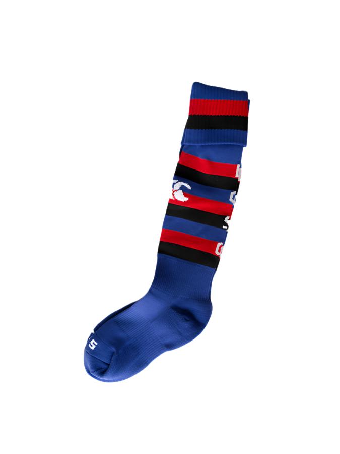 DCSG GAME SOCKS