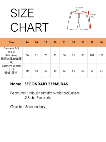 DCIS BERMUDAS