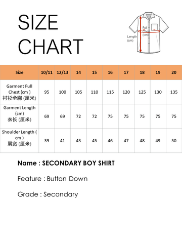 DCIS SECONDARY BOY SHIRT